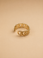 Chain Ring