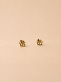 Hibiscus Studs